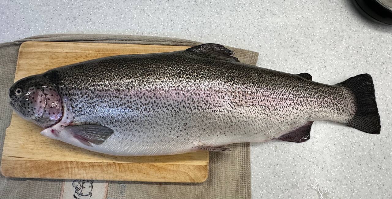 Продажа рыбы и морепродуктов - Хобби и отдых в Москва - фото 3