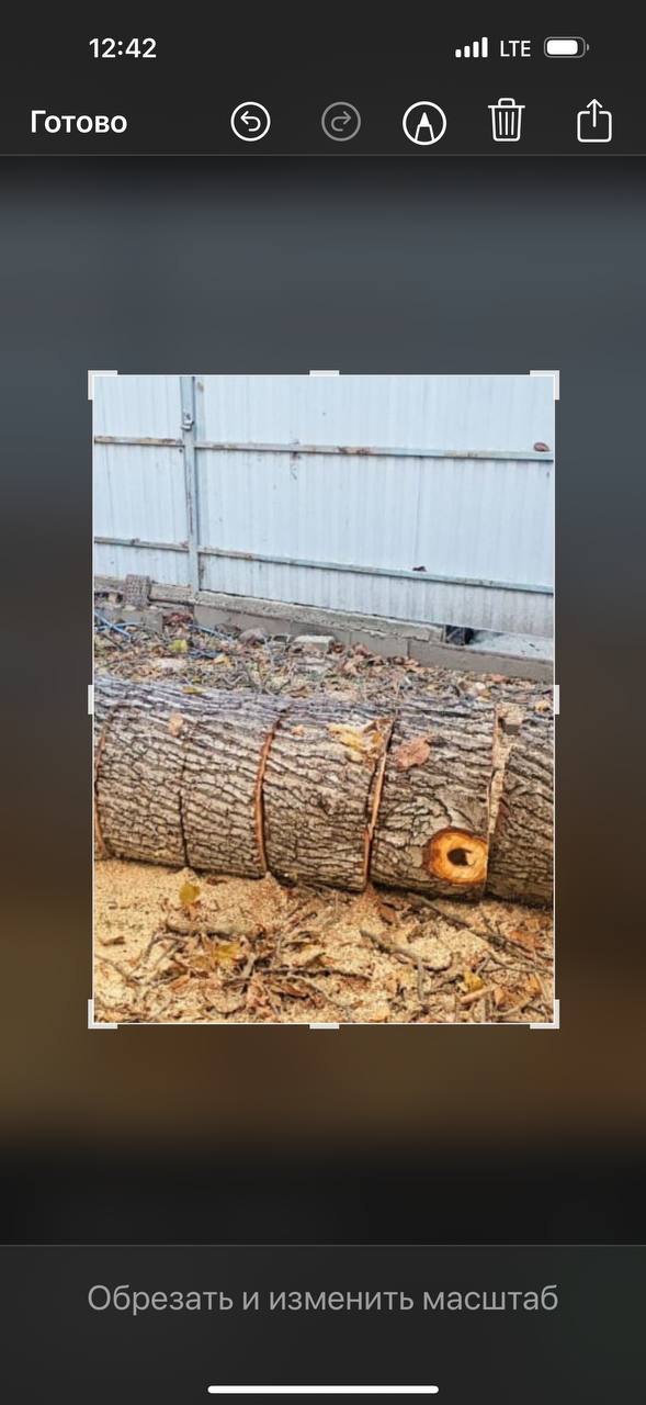 Отдам орех на дрова - частное объявление в Армавир - Новокубанск
