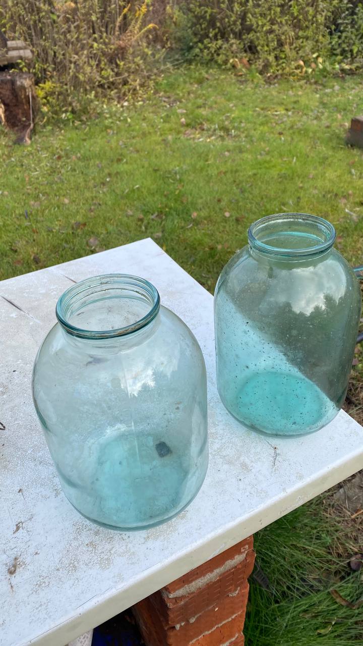 Отдам в добрые руки - частное объявление в Ижевск