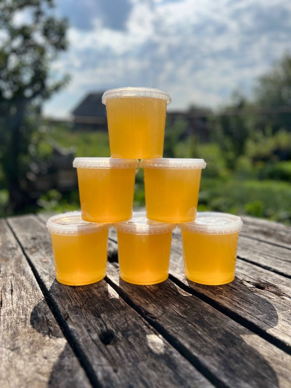 Мед с доставкой в Ижевске - Продукты питания в Ижевск - фото 2