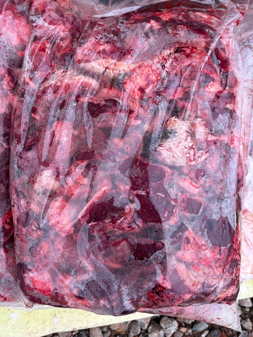 Мясо для собак - Животные в Ижевск