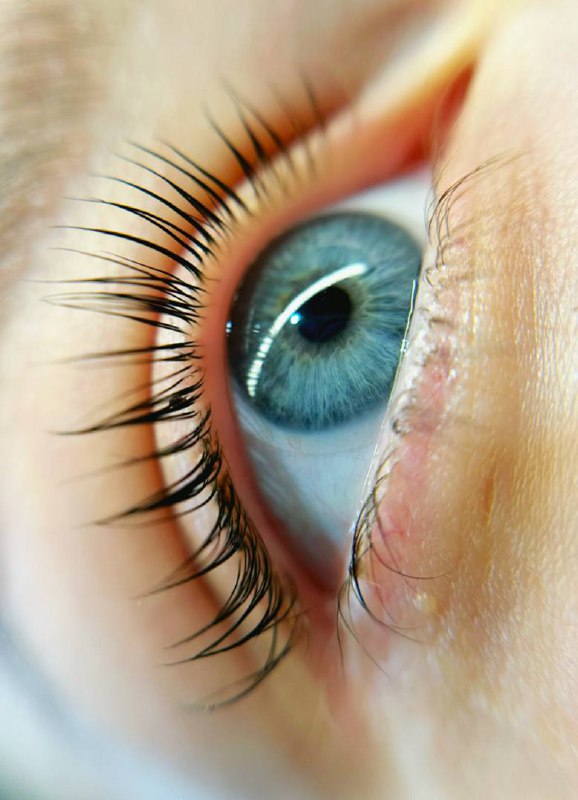 Ламинирование ресниц - Красота и здоровье в Новороссийск - фото 2