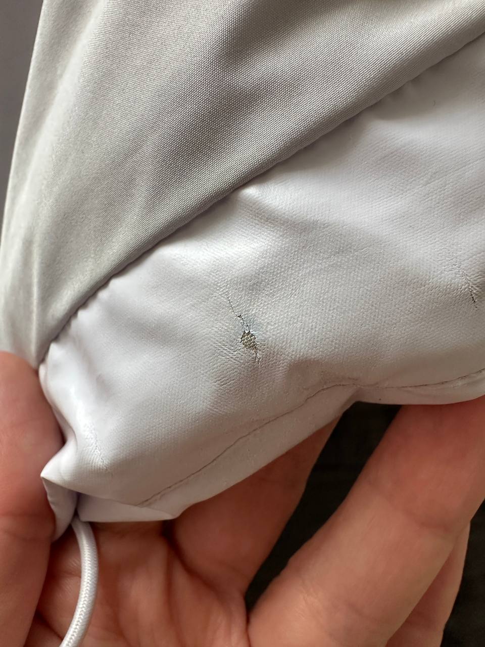 Барахолка Томск - Хобби и отдых в Томск - фото 4