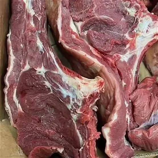 Свежий забой жеребенка - Животные в Чебоксары - фото 2