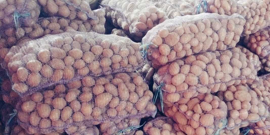 Картофель с доставкой до места хранения - Для дома и дачи в Дзержинск-Фаниполь - фото 3