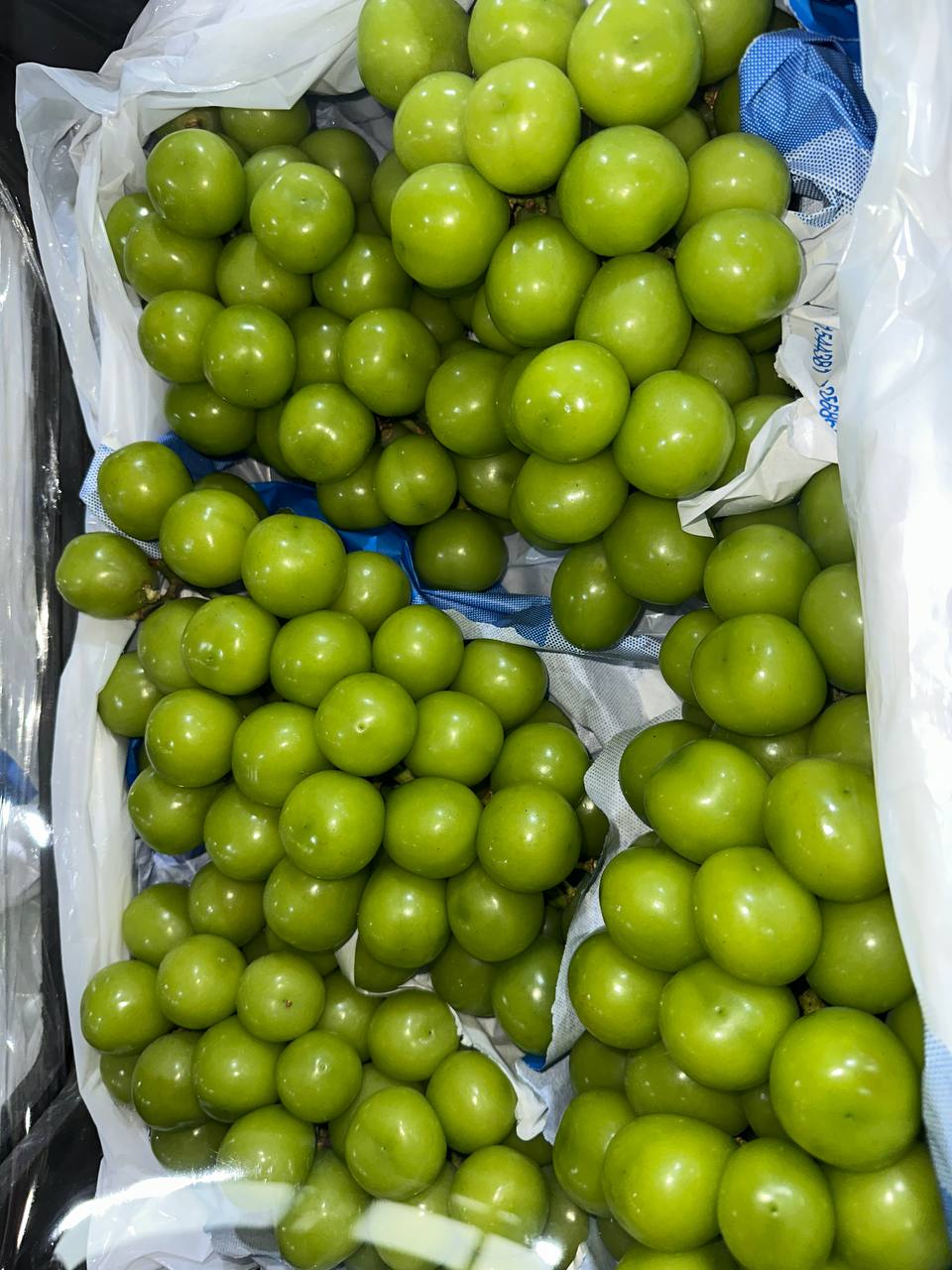 ВНИМАНИЕ, Гурманы Москвы! Спецпривоз! - Хобби и отдых в Москва