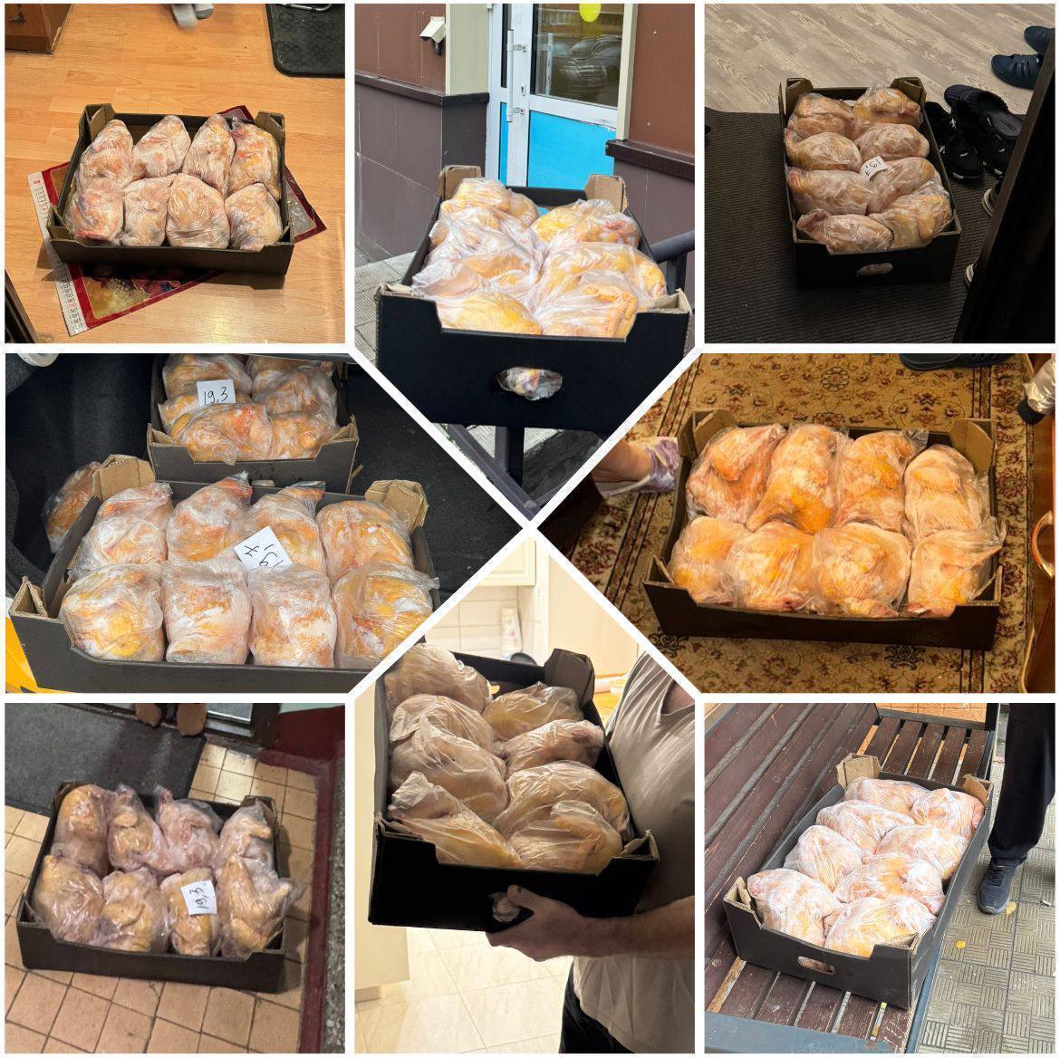 Свежие кабардинские домашние куры ручной щипки - Животные в Москва