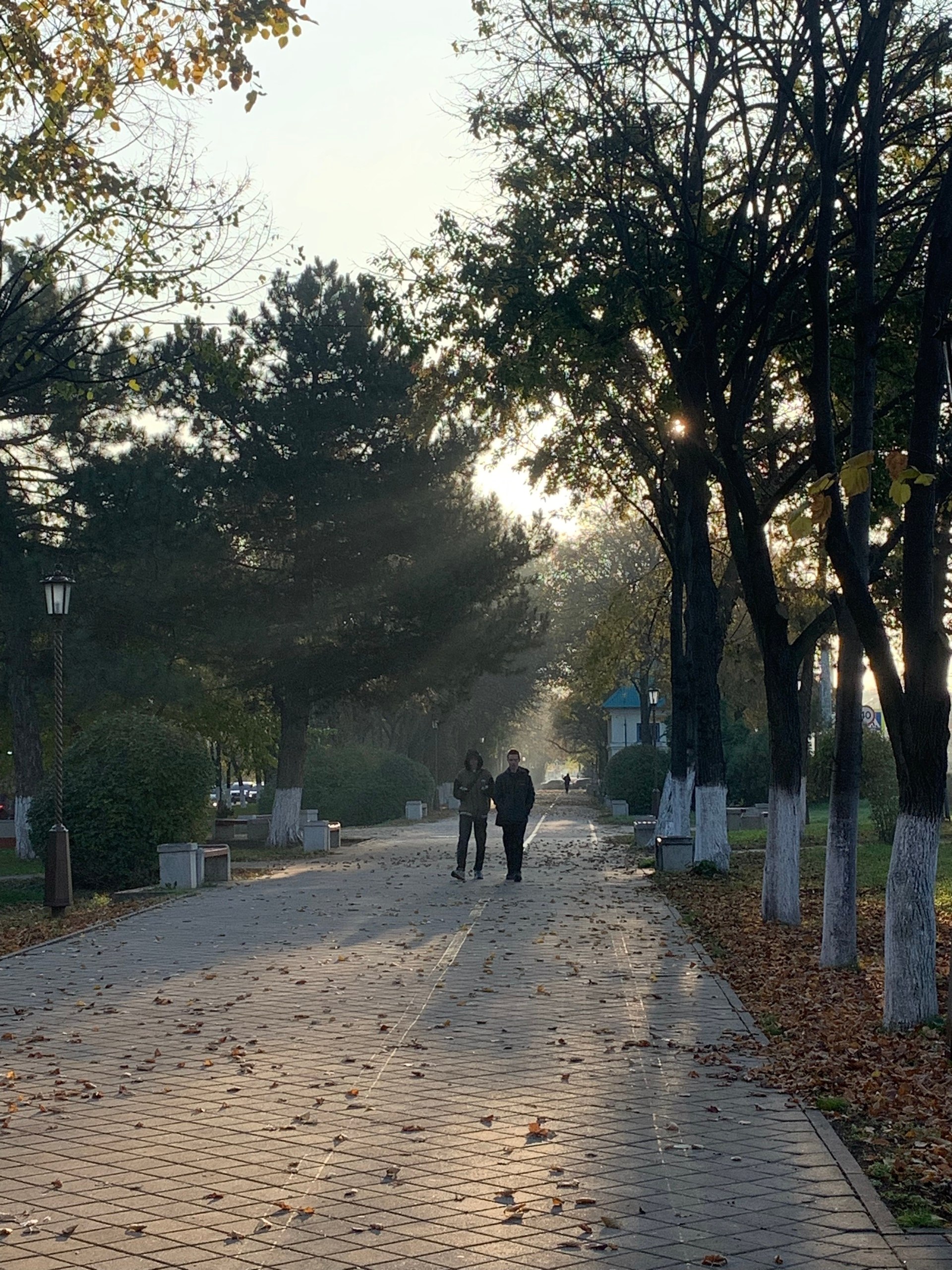 Погода в Армавире - частное объявление в Армавир