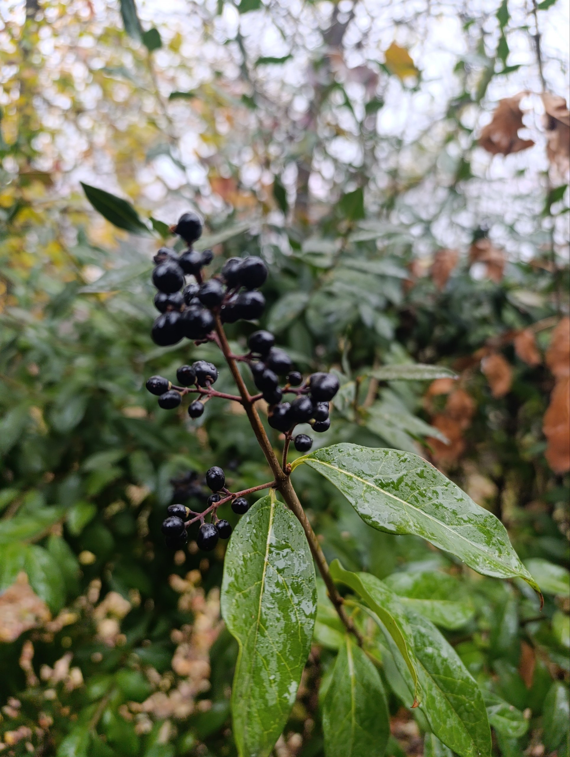 Утренние новости Армавира - частное объявление в Армавир