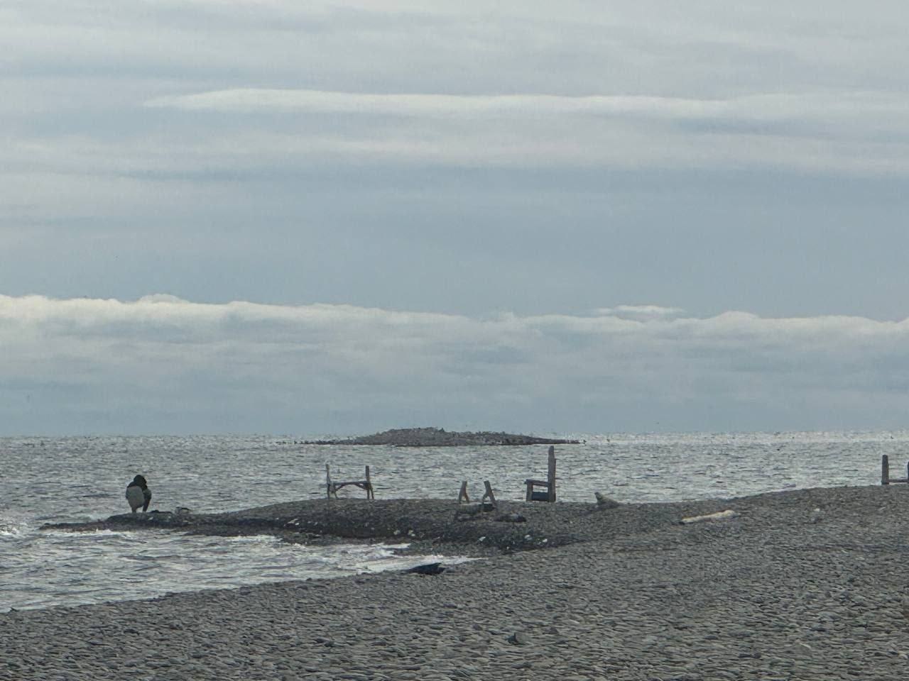 Разрушение маяка в бухте Новороссийска - Хобби и отдых в Армавир - фото 3