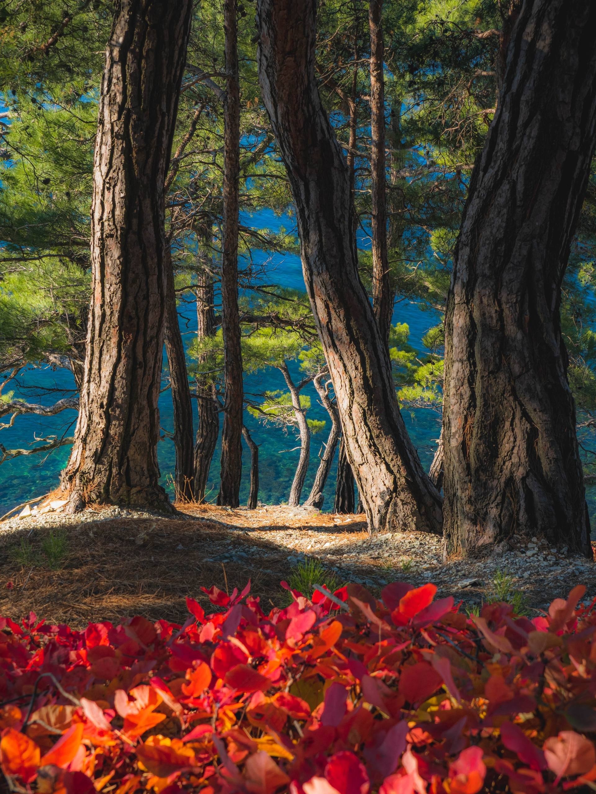 Голубая Бездна под Геленджиком - частное объявление в Геленджик