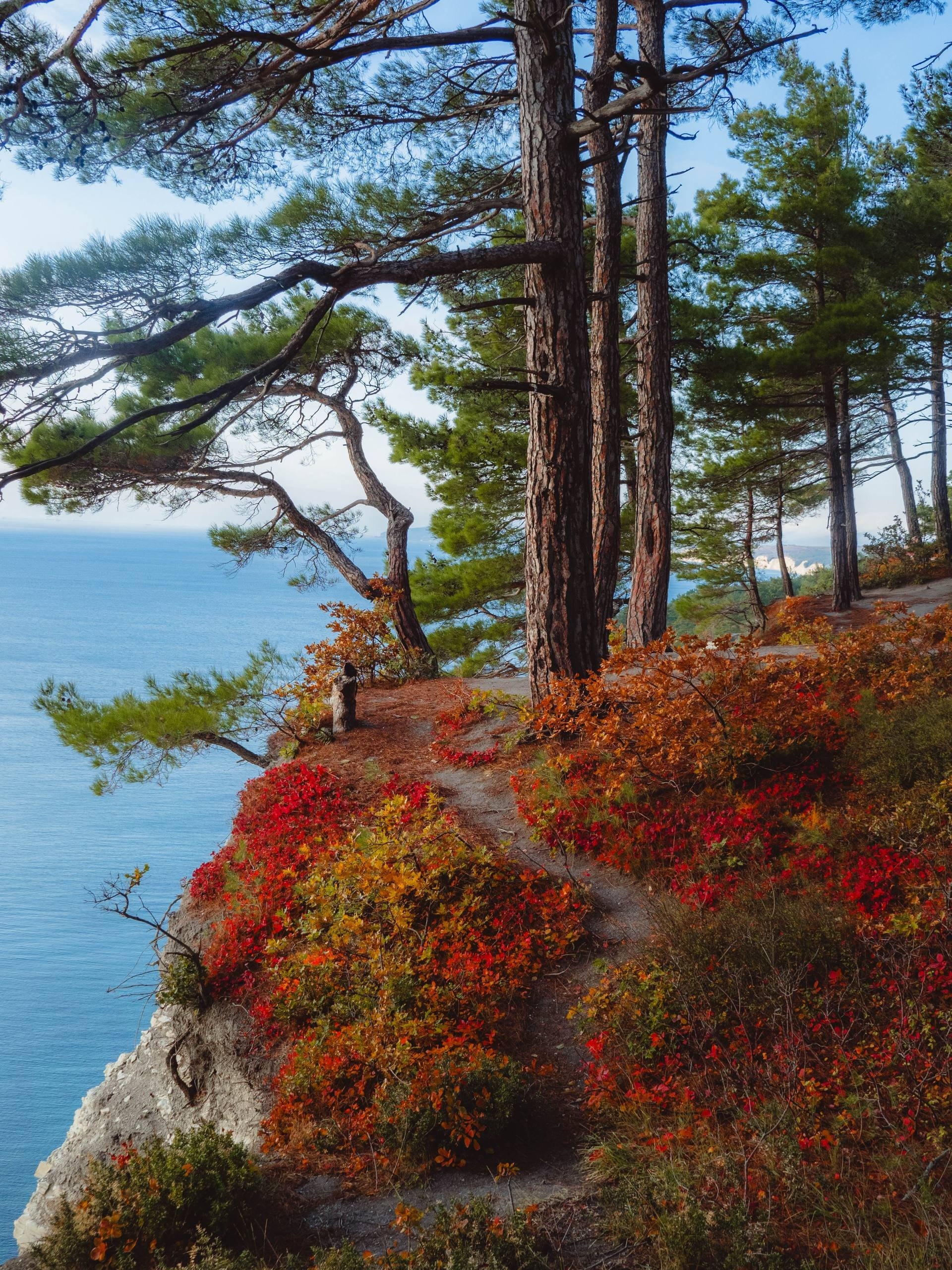 Голубая Бездна под Геленджиком - Хобби и отдых в Геленджик - фото 3