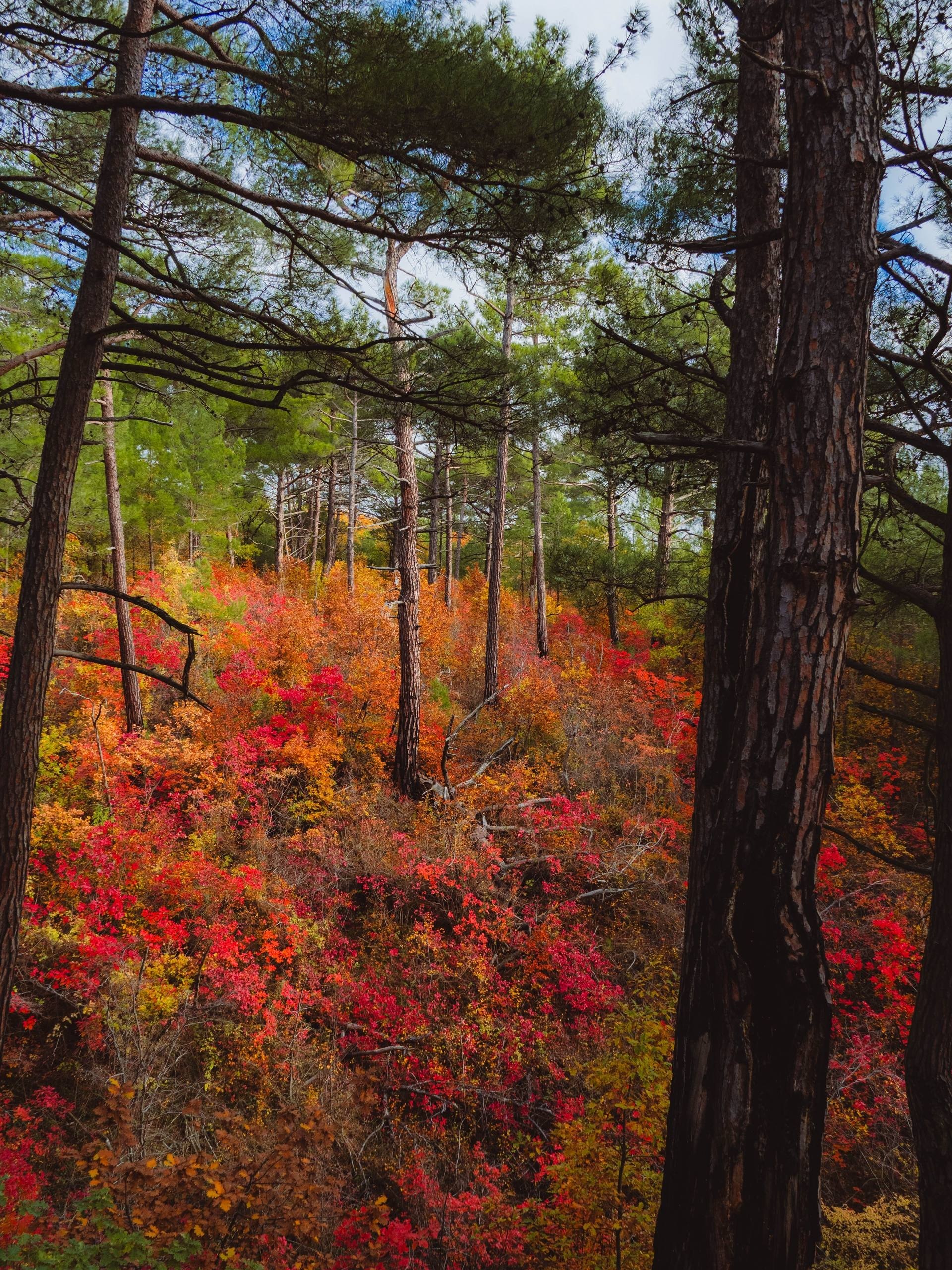 Голубая Бездна под Геленджиком - Хобби и отдых в Геленджик - фото 4