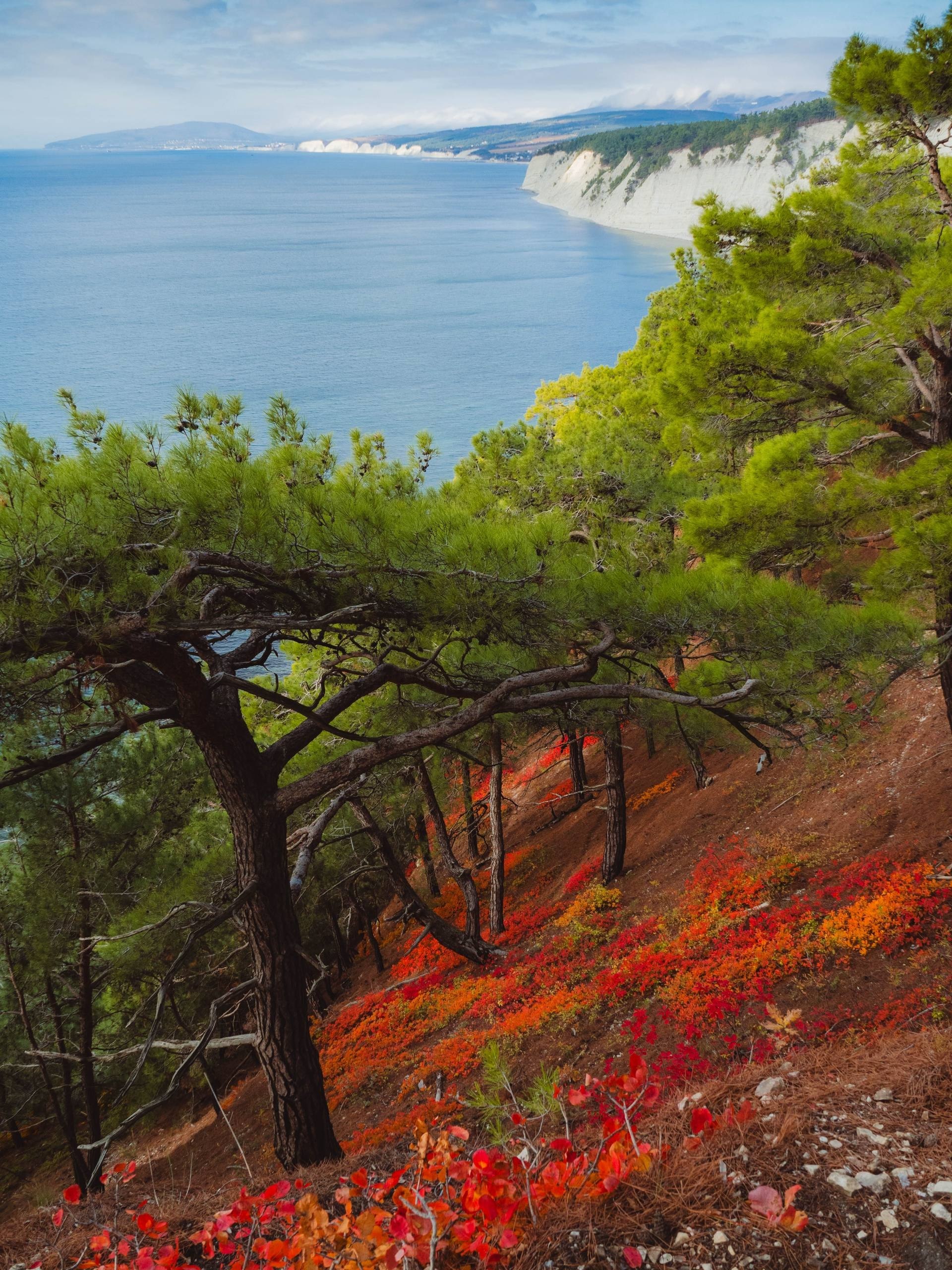 Голубая Бездна под Геленджиком - Хобби и отдых в Геленджик - фото 7