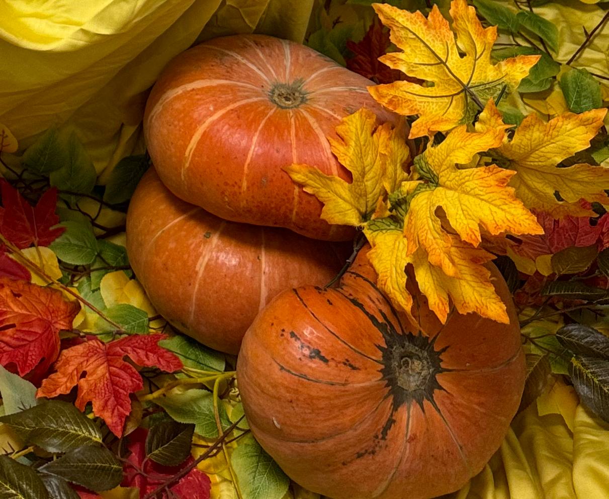 Продам лук и тыкву - Для дома и дачи в Тольятти