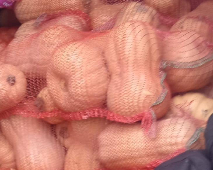 Продам лук и тыкву - Для дома и дачи в Тольятти - фото 3