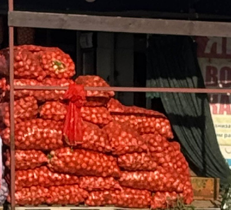 Продам лук и тыкву - Для дома и дачи в Тольятти - фото 4