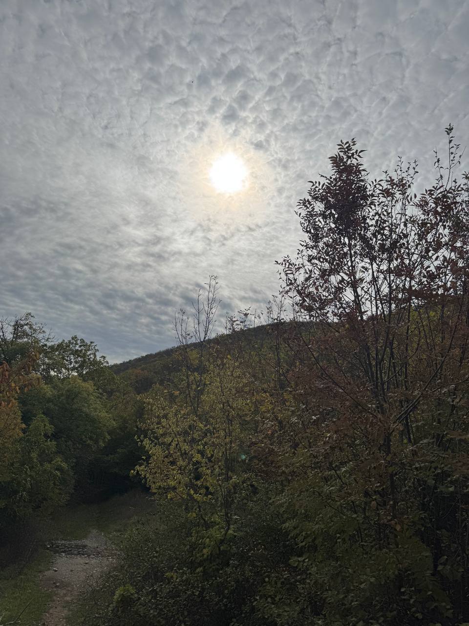 Поход на Колдун с баней и горячим чаном - частное объявление в Новороссийск