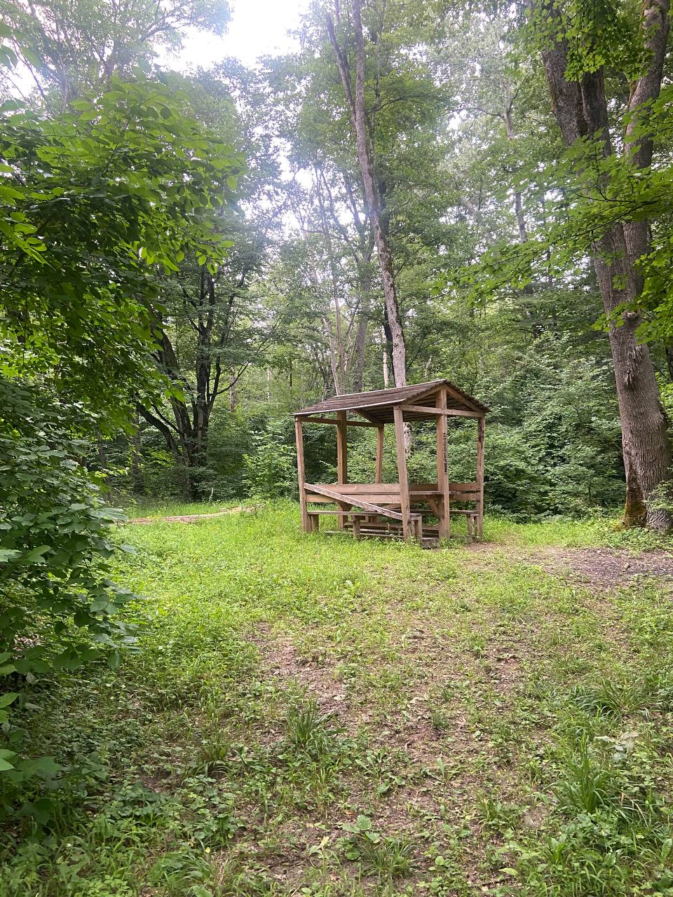 Поход Шесхарис - перевал Кваша - Афонка и обратно - Хобби и отдых в Новороссийск - фото 3