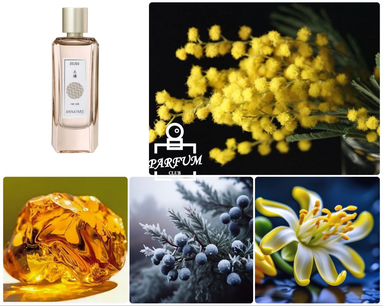 Dojou For Her Annayake - женский парфюм - Красота и здоровье в Новороссийск