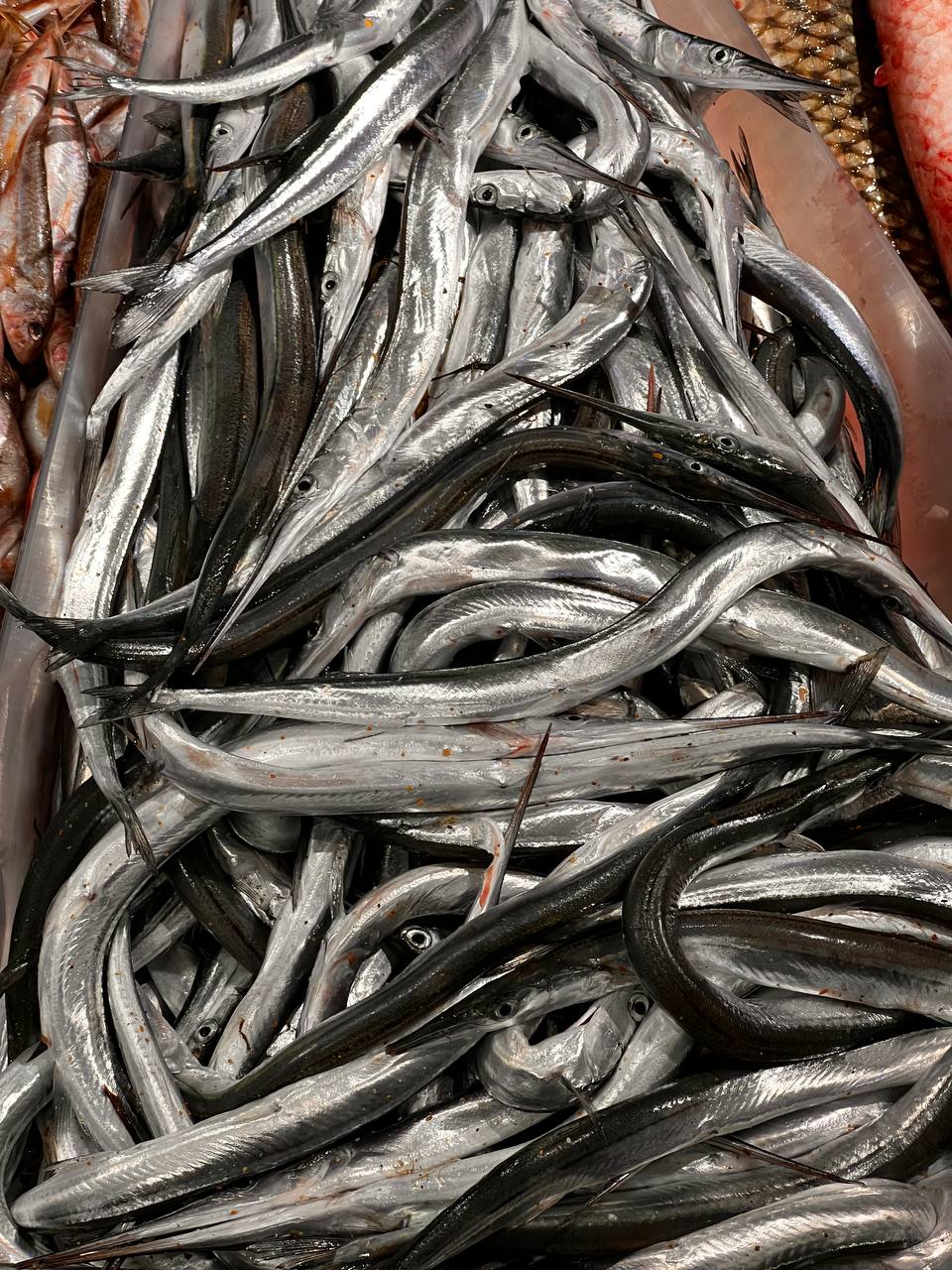 Свежая рыба и икра в наличии - Хобби и отдых в Новороссийск