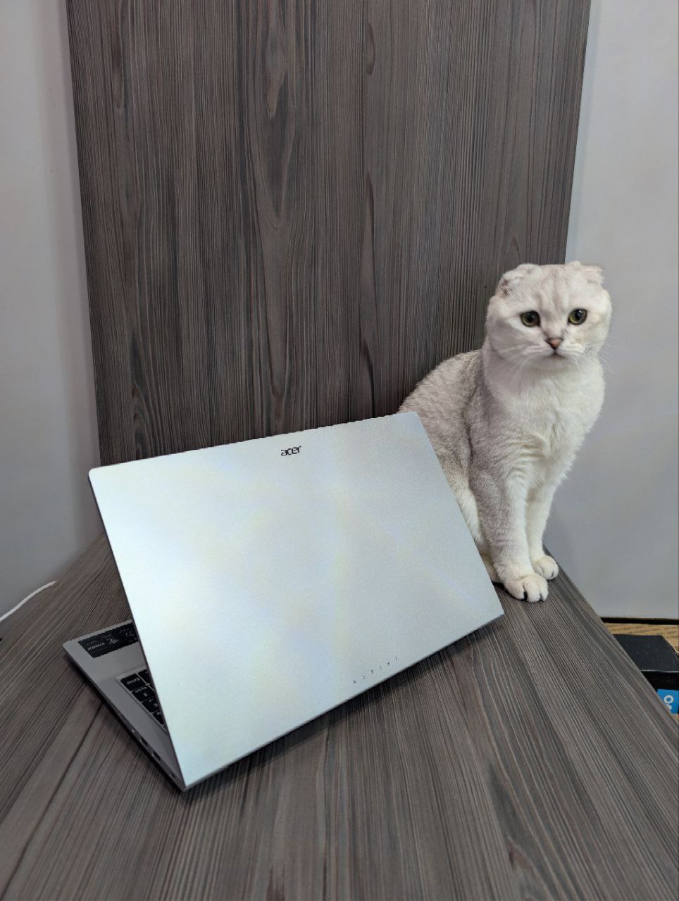 Продам Acer Lite 15 - Электроника в Калининград - фото 5