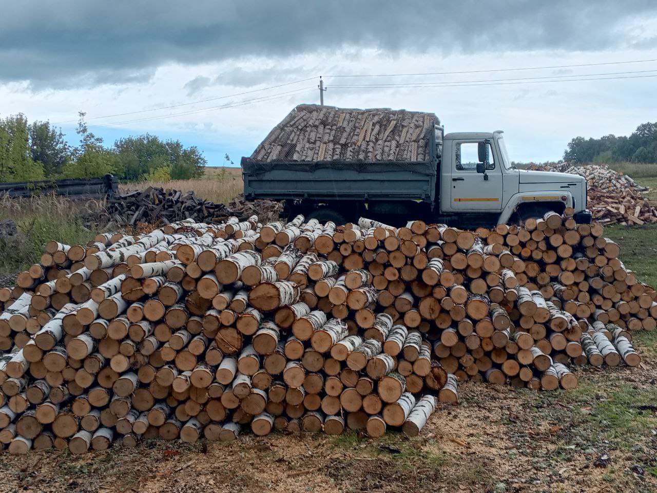 Продам дрова берёзовые - Для дома и дачи в Ульяновск
