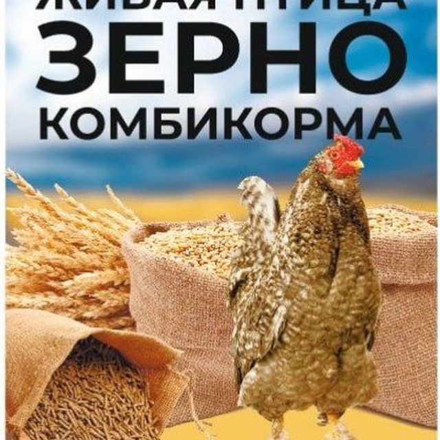Продажа комбикормов и зерна для птиц - Животные в Ульяновск