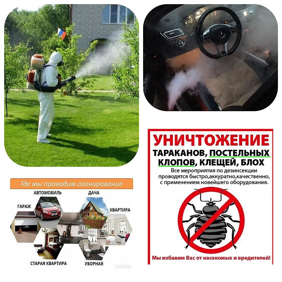 Защита от насекомых и обработка помещений - частное объявление в Сочи