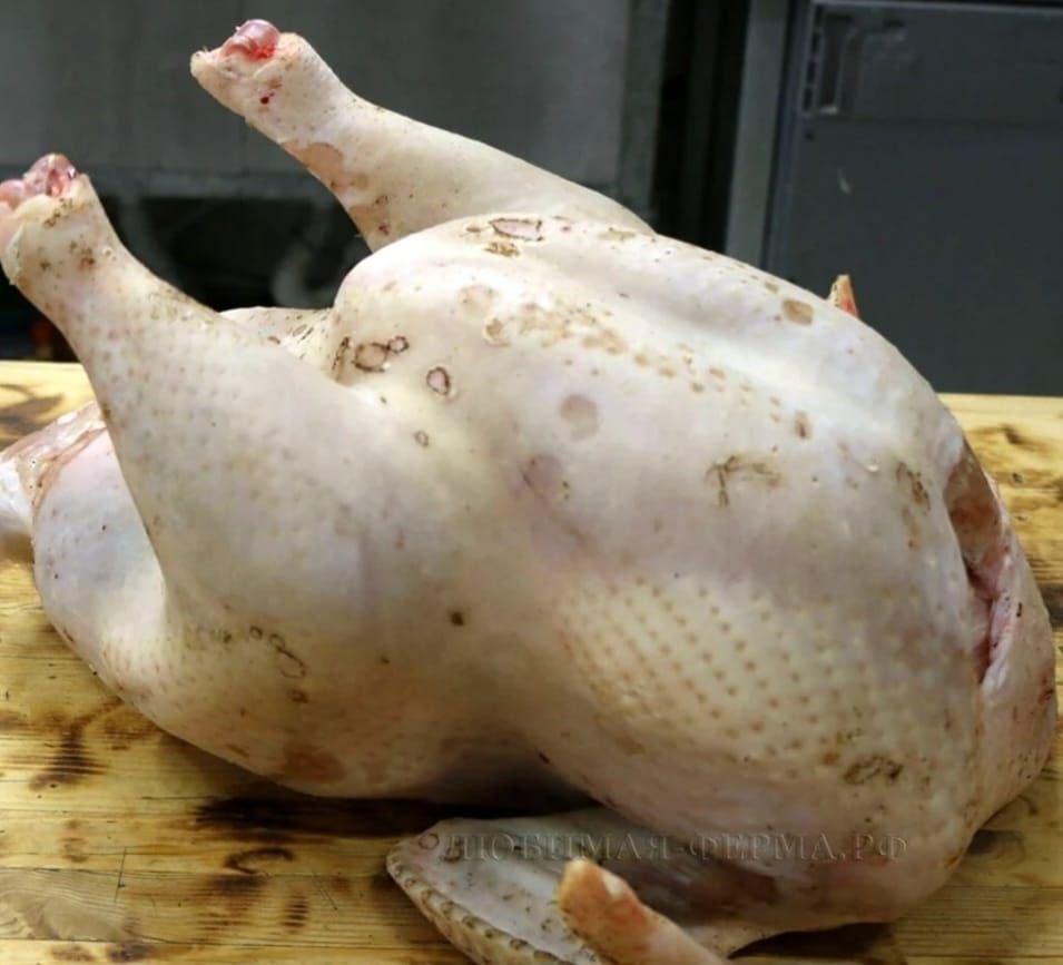 Домашняя продукция с собственного хозяйства - Для дома и дачи в Сочи - фото 2