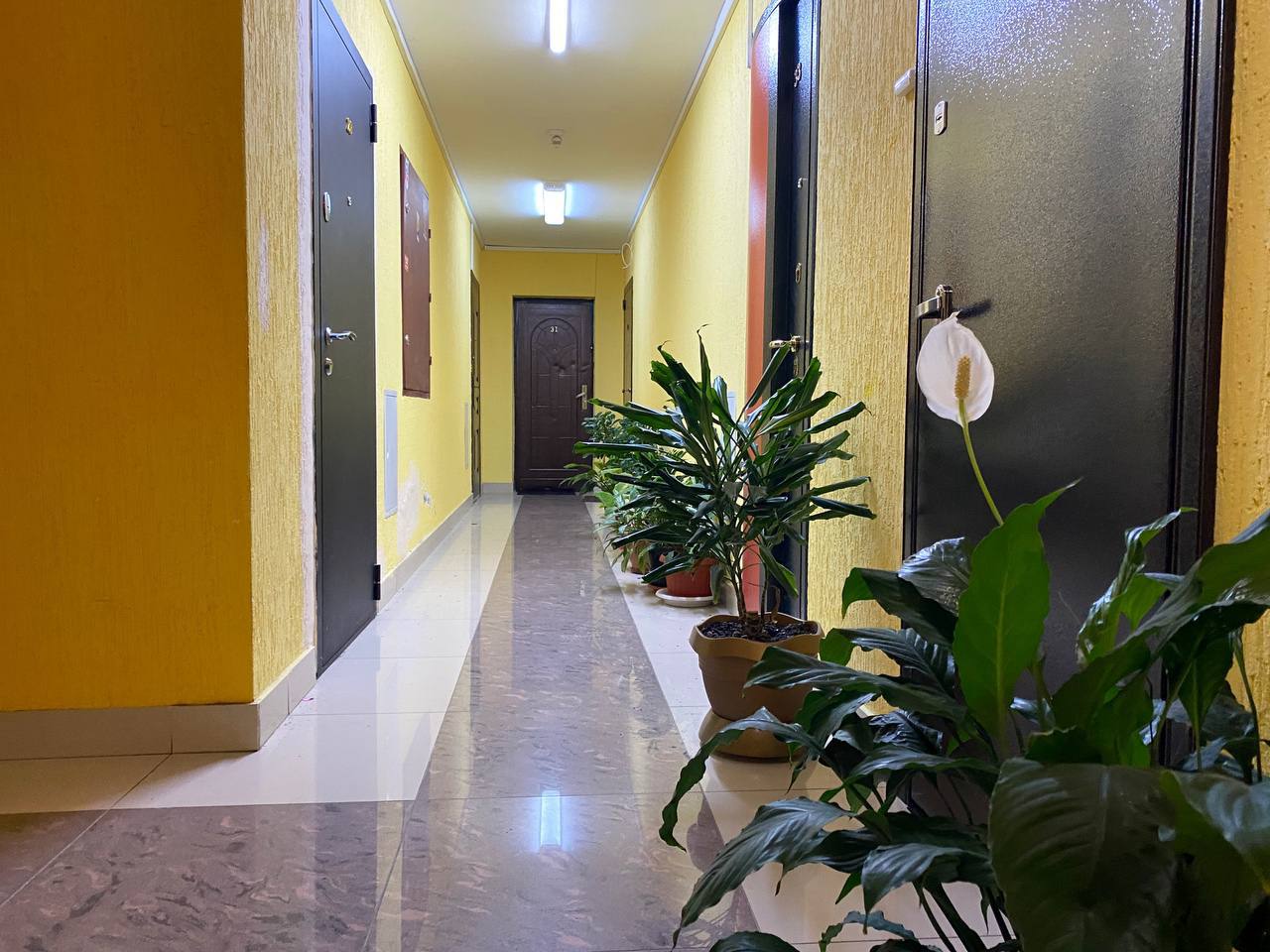 Сдается уютная студия в Сочи - Недвижимость в Сочи - фото 5