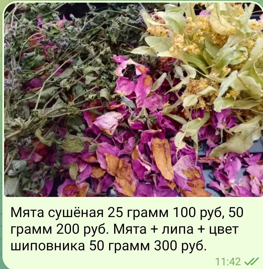 Сад | Огород | Подсобное хозяйство - Для дома и дачи в Калининград - фото 6