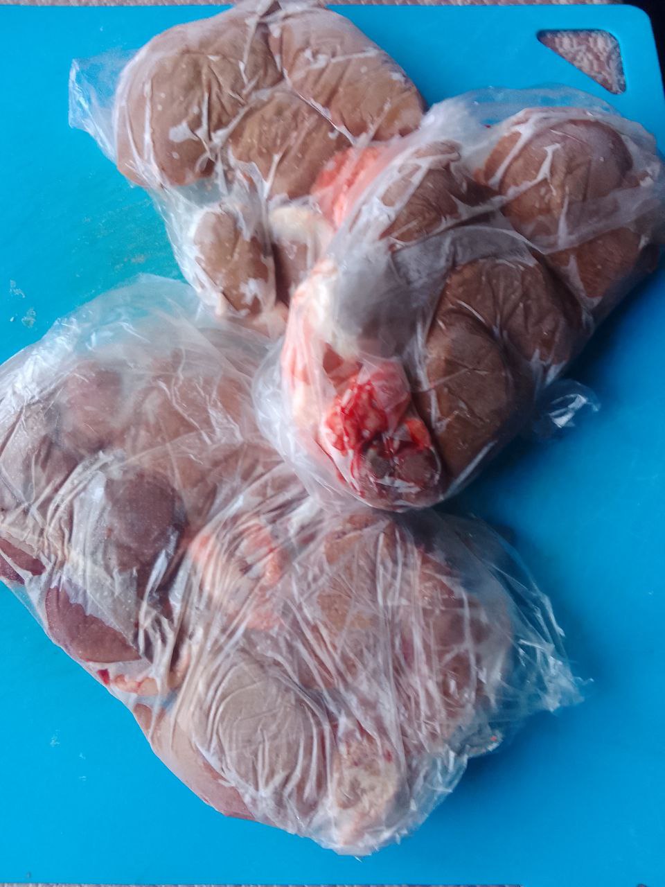 Продам мясо кролика - Животные в Калининград - фото 2