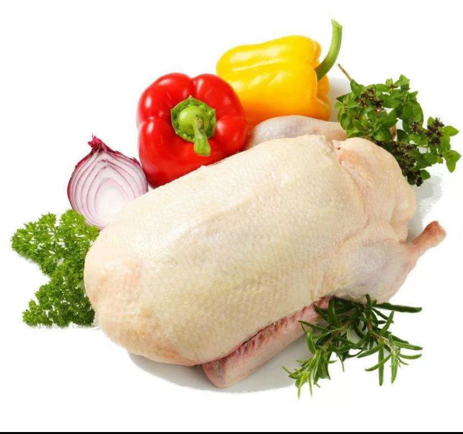 Продажа птицы - частное объявление в Калининград