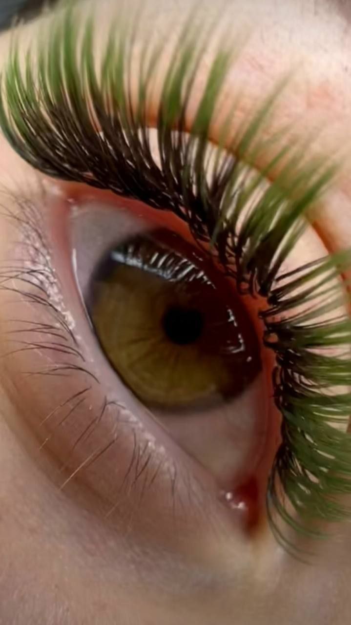 Анохина 72 салон красоты образ - Работа в Чита - фото 3