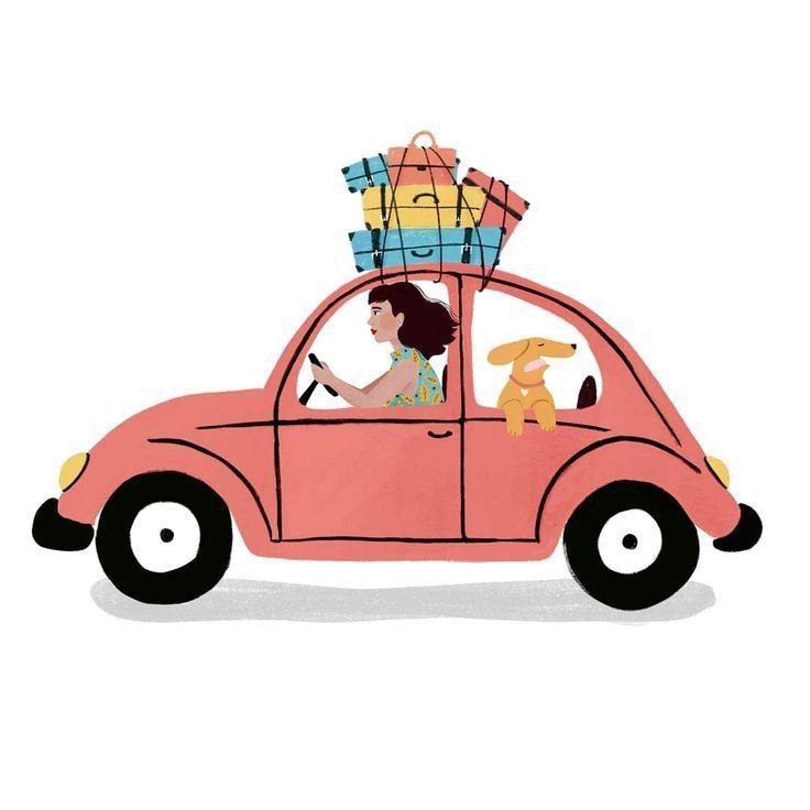 Срочная перевозка щенка - Услуги в Самара