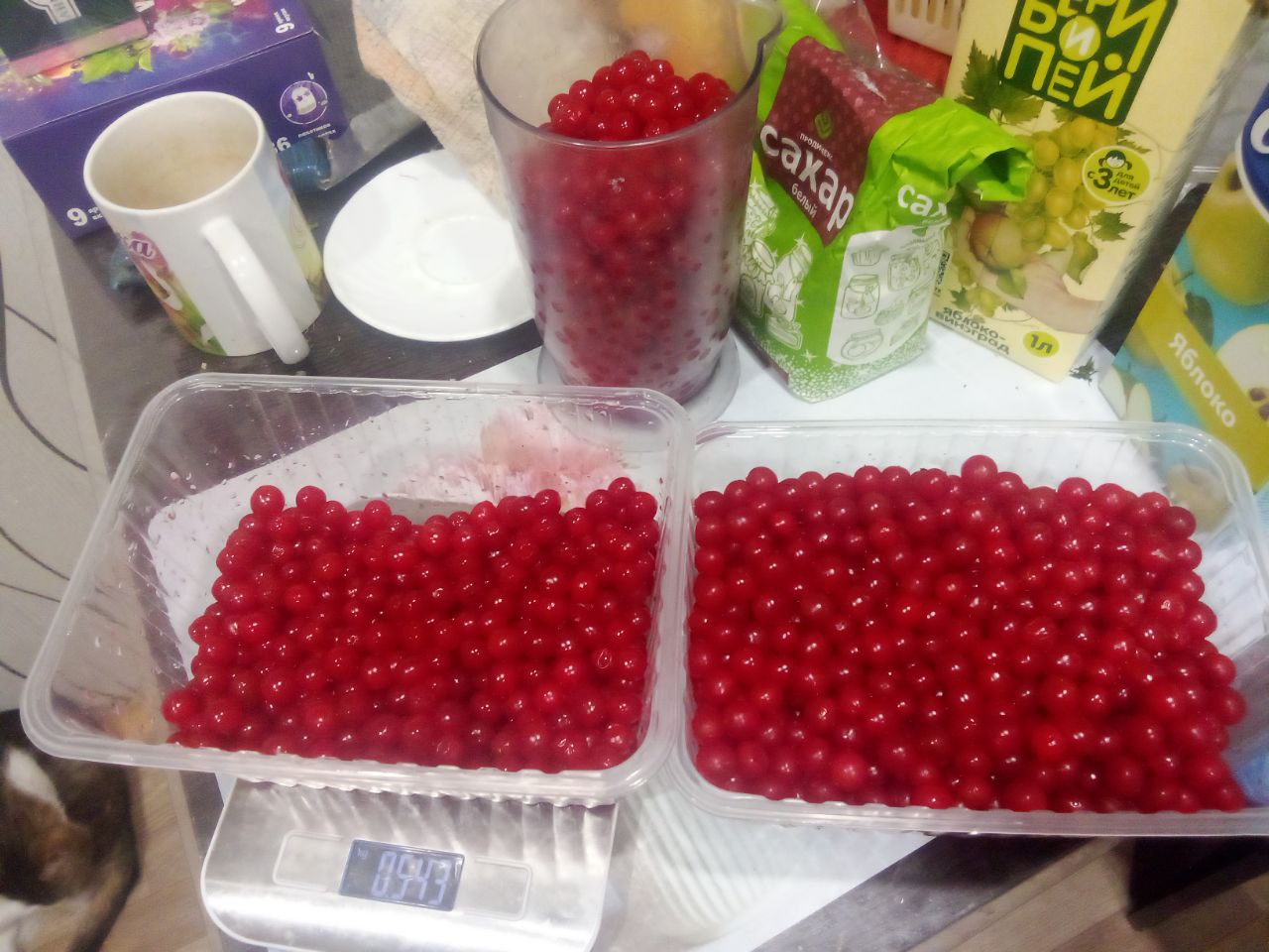 Калина 1,5 кг - Хобби и отдых в Казань