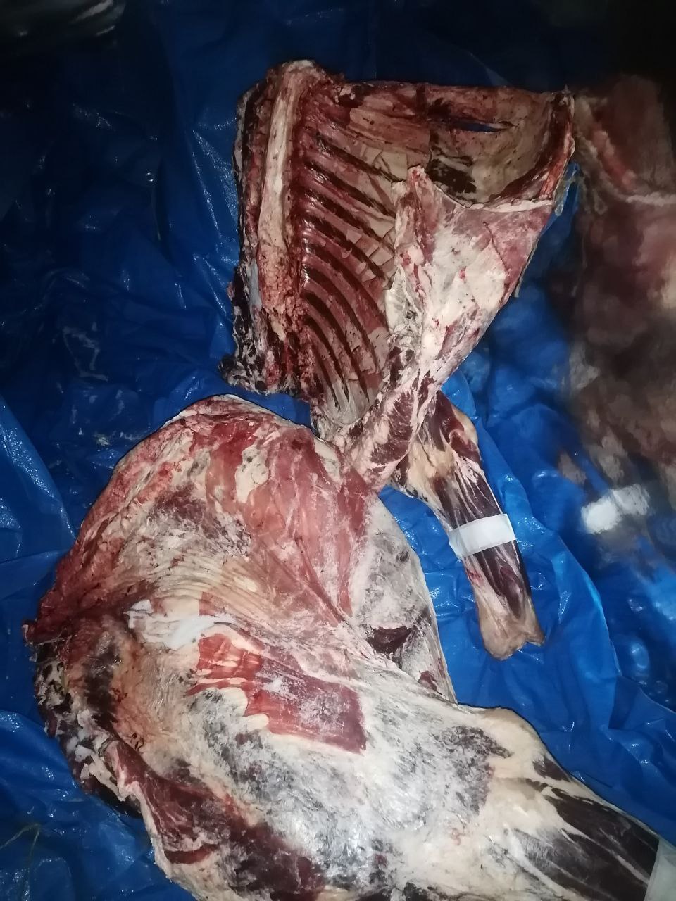 Продам свежее мясо говядину - Продукты питания в Чита