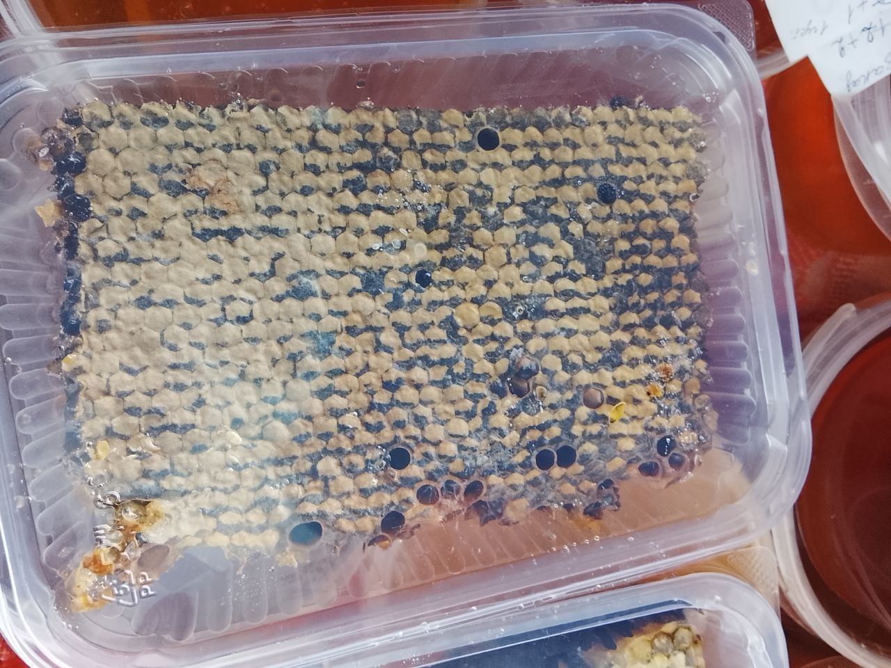 Продажа натурального мёда с семейной пасеки - Хобби и отдых в Ставрополь - фото 3