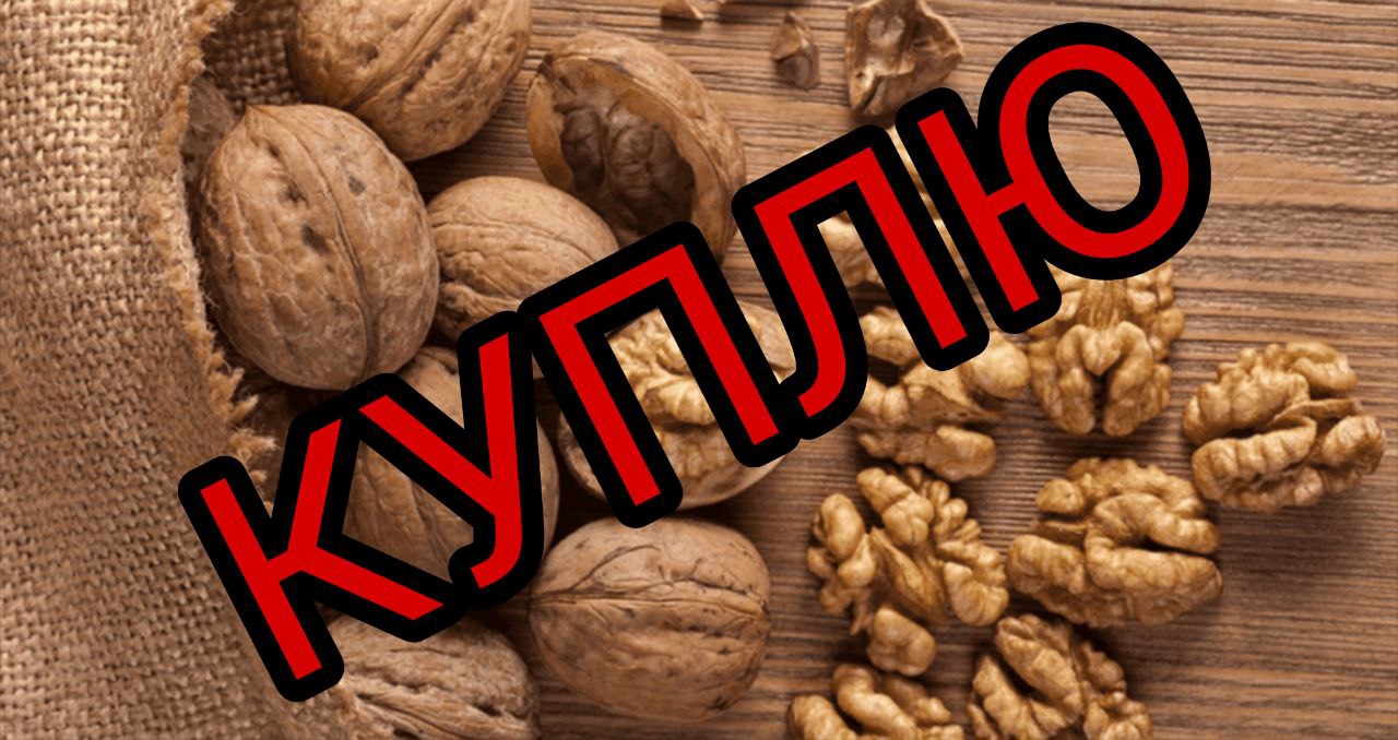 Закупка грецкого ореха и фундука - частное объявление в Ставропольский край (Петровский и Грачёвский район)