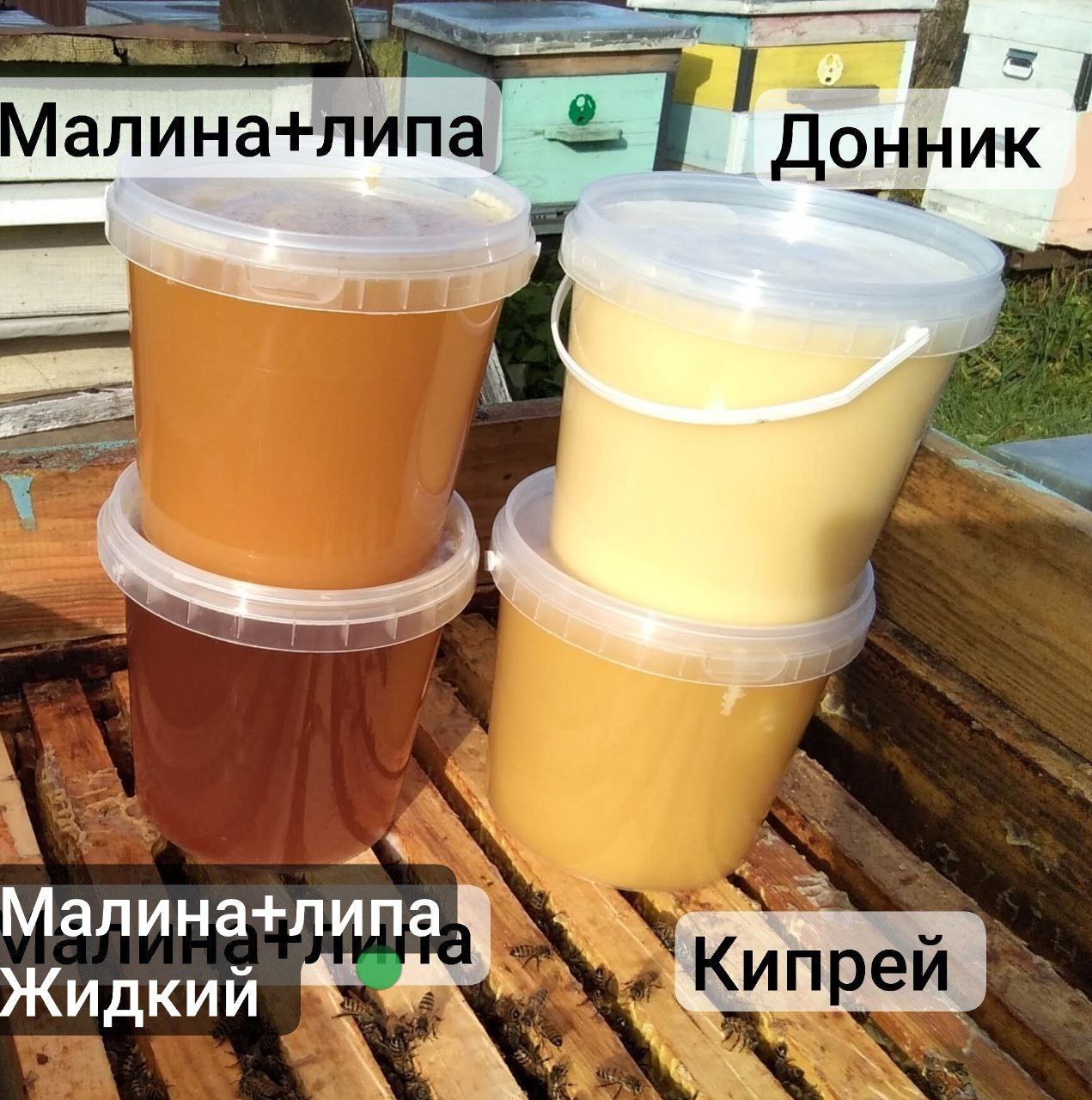 Мёд с пасеки Суздальский район - Хобби и отдых в Балашиха - фото 5