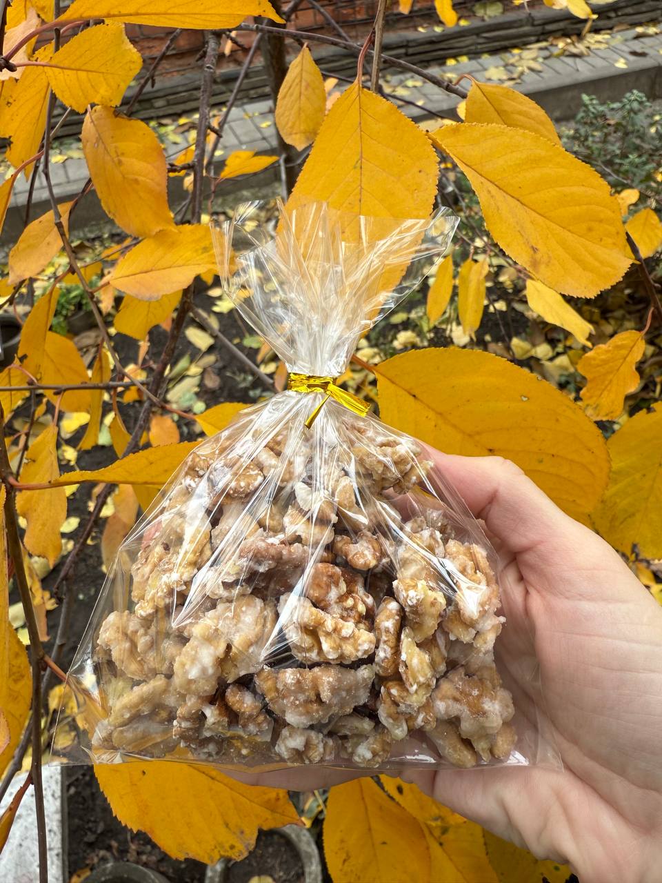 Продажа грецкого ореха - Хобби и отдых в Новороссийск - фото 2
