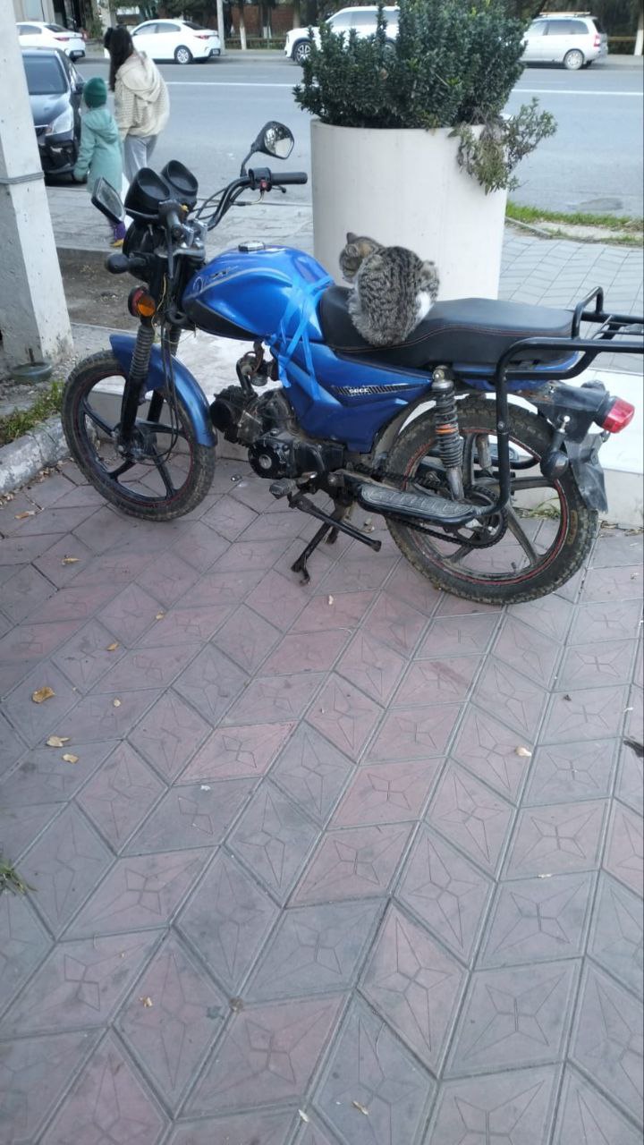 Продам или обменяю - частное объявление в Махачкала