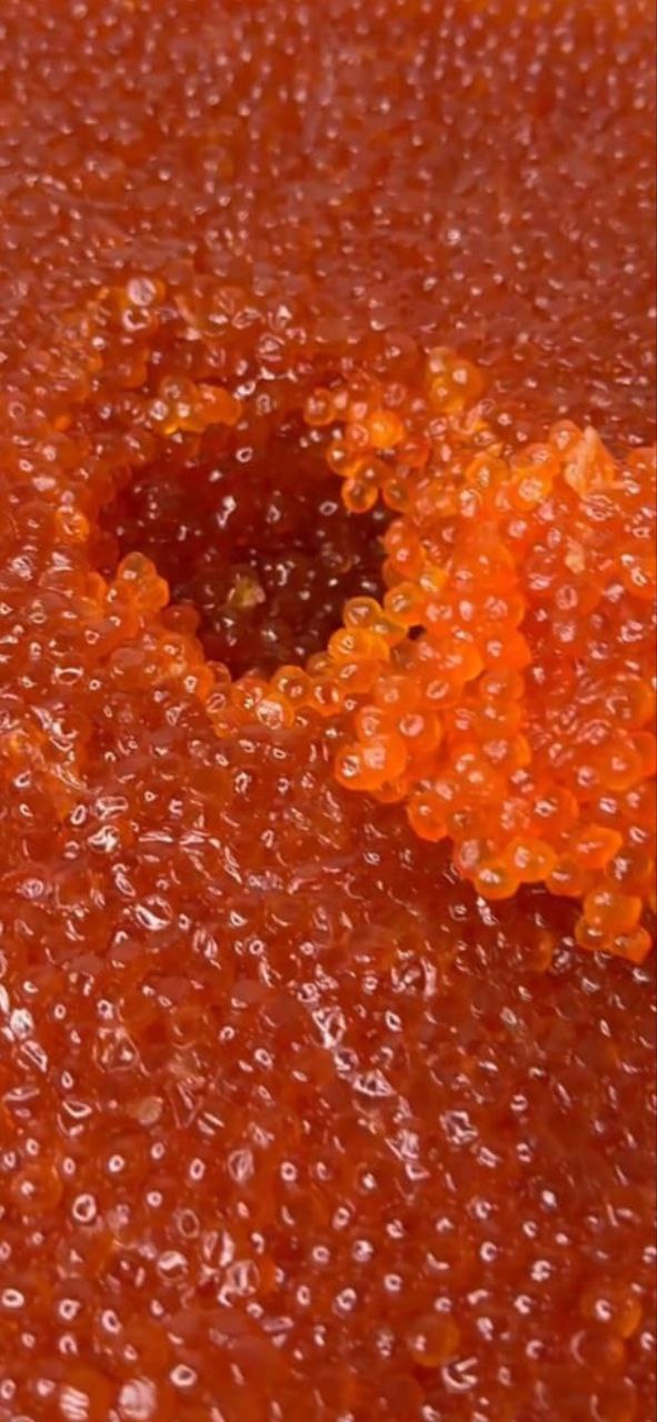 Рыба и морепродукты напрямую от производителя - Хобби и отдых в Москва - фото 7