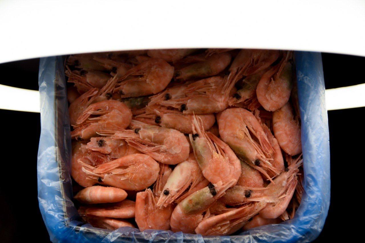 Свежая форель и морепродукты - Хобби и отдых в Москва - фото 2