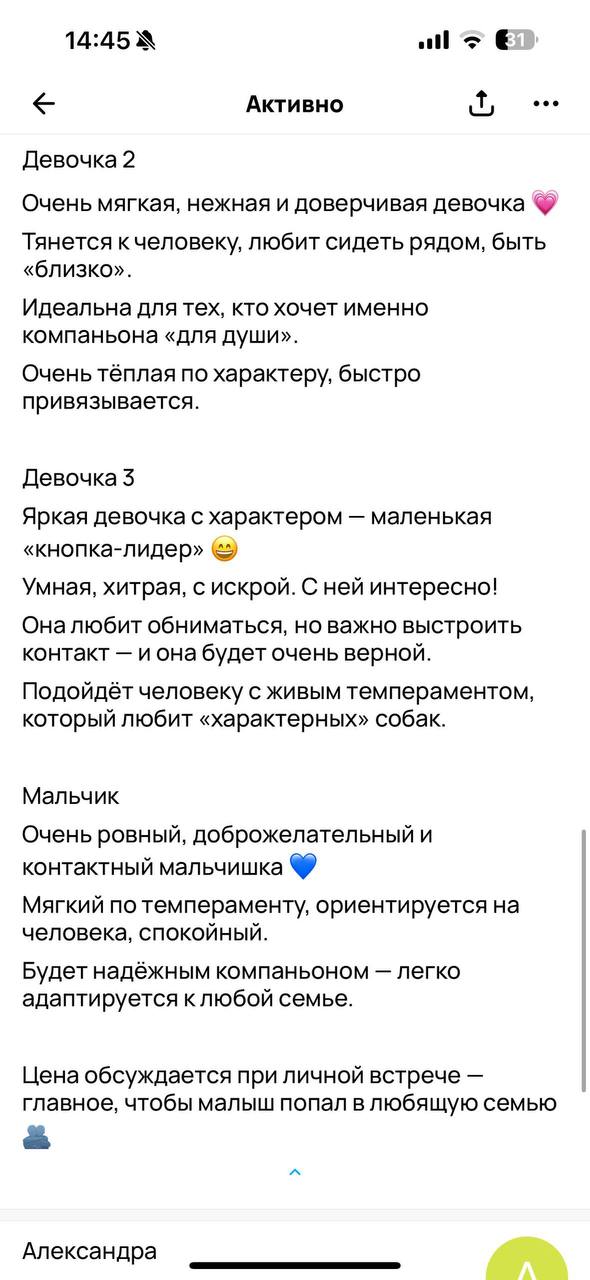 Щенки французского бульдога - частное объявление в Севастополь