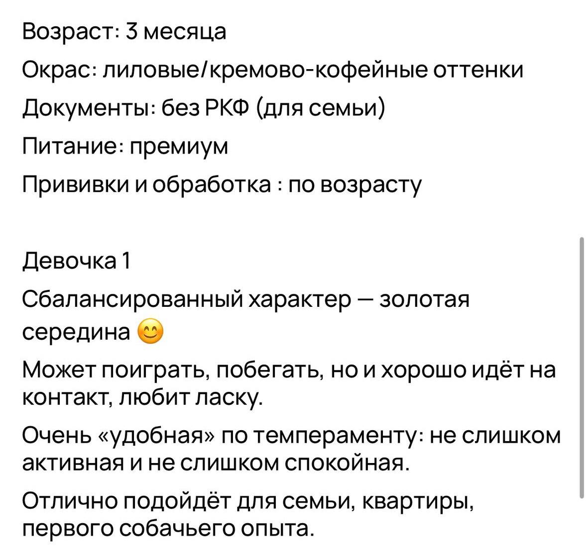 Щенки французского бульдога - Животные в Севастополь - фото 6