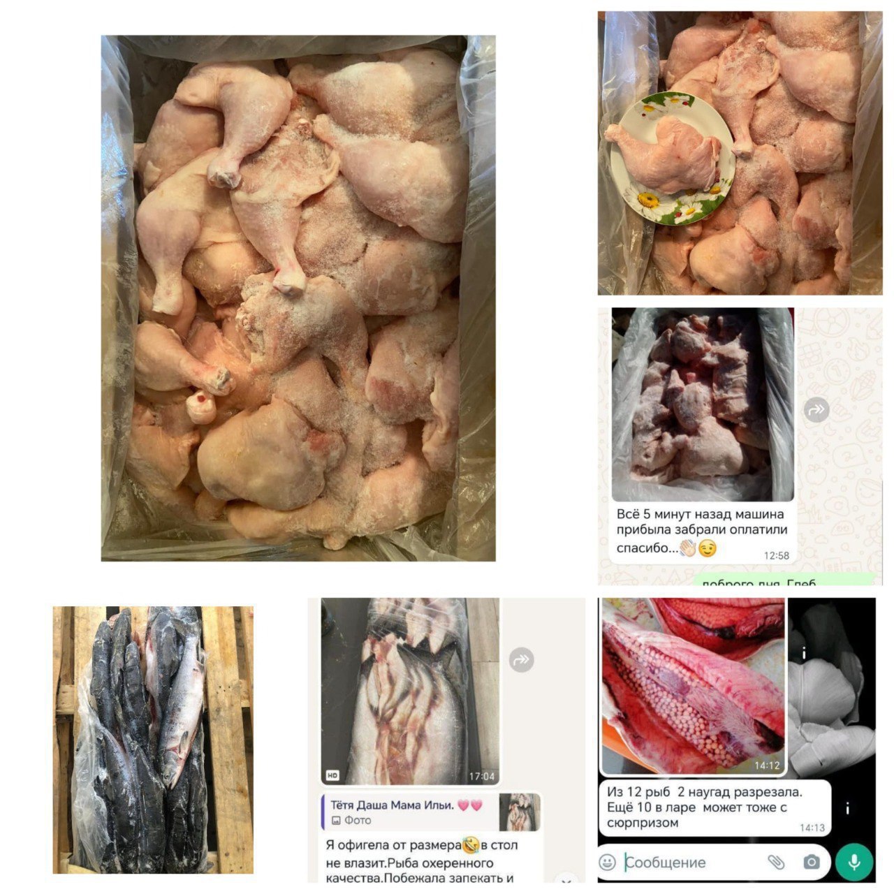 Доставка свежемороженой рыбы и морепродуктов - частное объявление в Барнаул