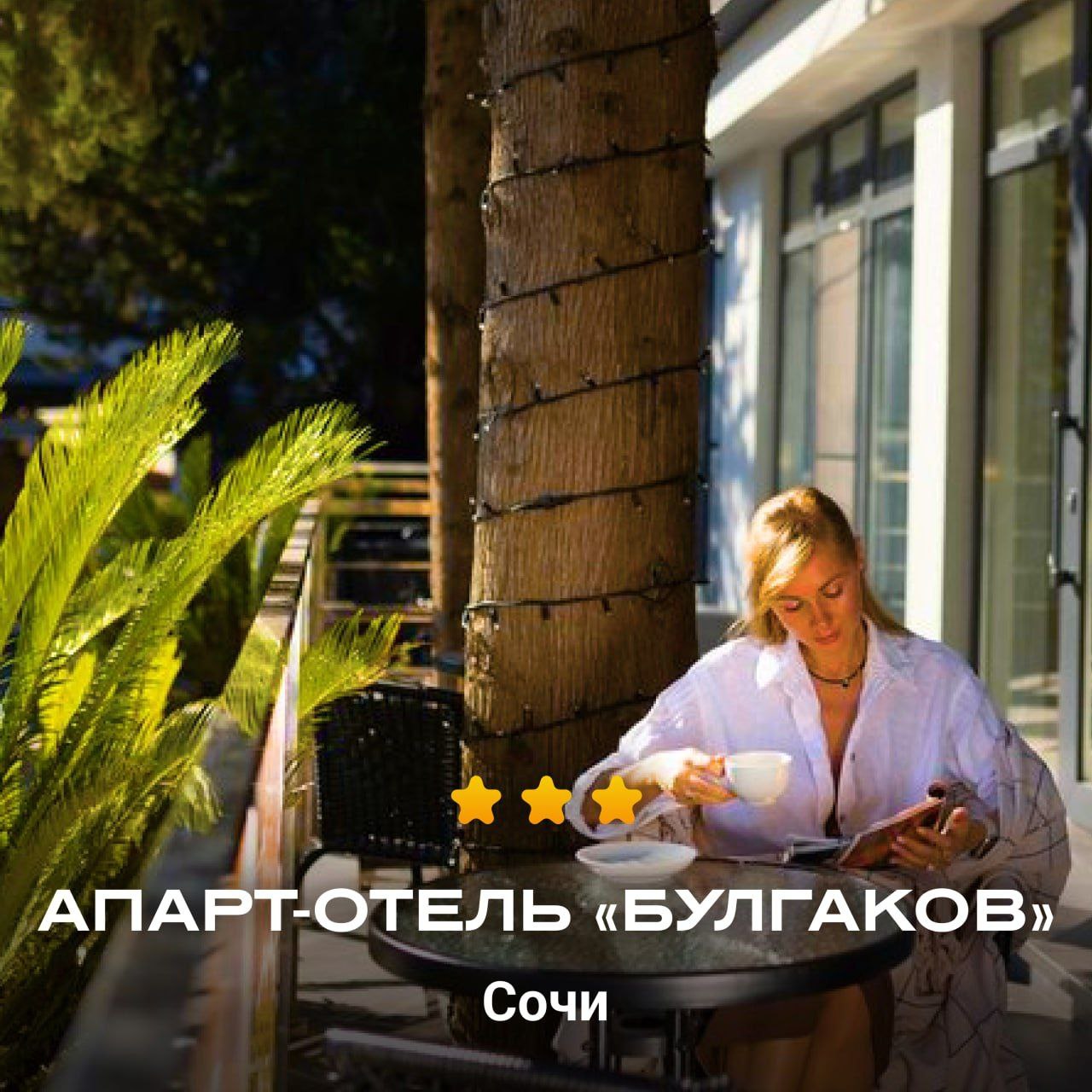 Бюджетные варианты размещения в Сочи и автобусные туры из Белгорода - Хобби и отдых в Сочи, Белгород - фото 3