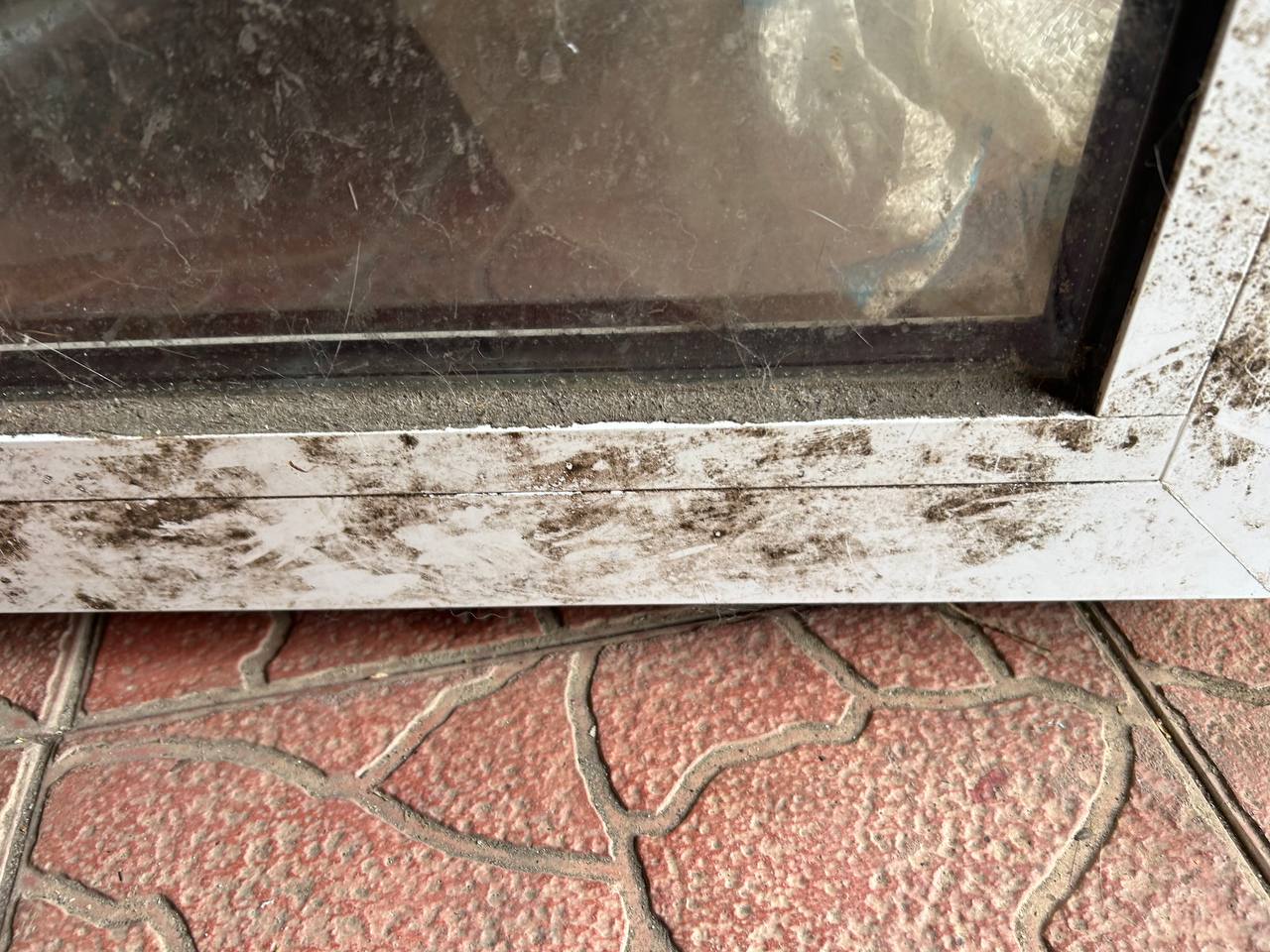 Белая Перчатка — специалисты по очистке запущенных квартир - Услуги в Белгородская область - фото 6